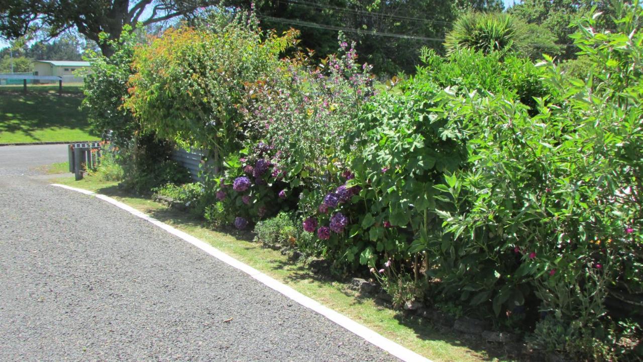 Ferienwohnung Cozy Haven - Waihi Exterior foto